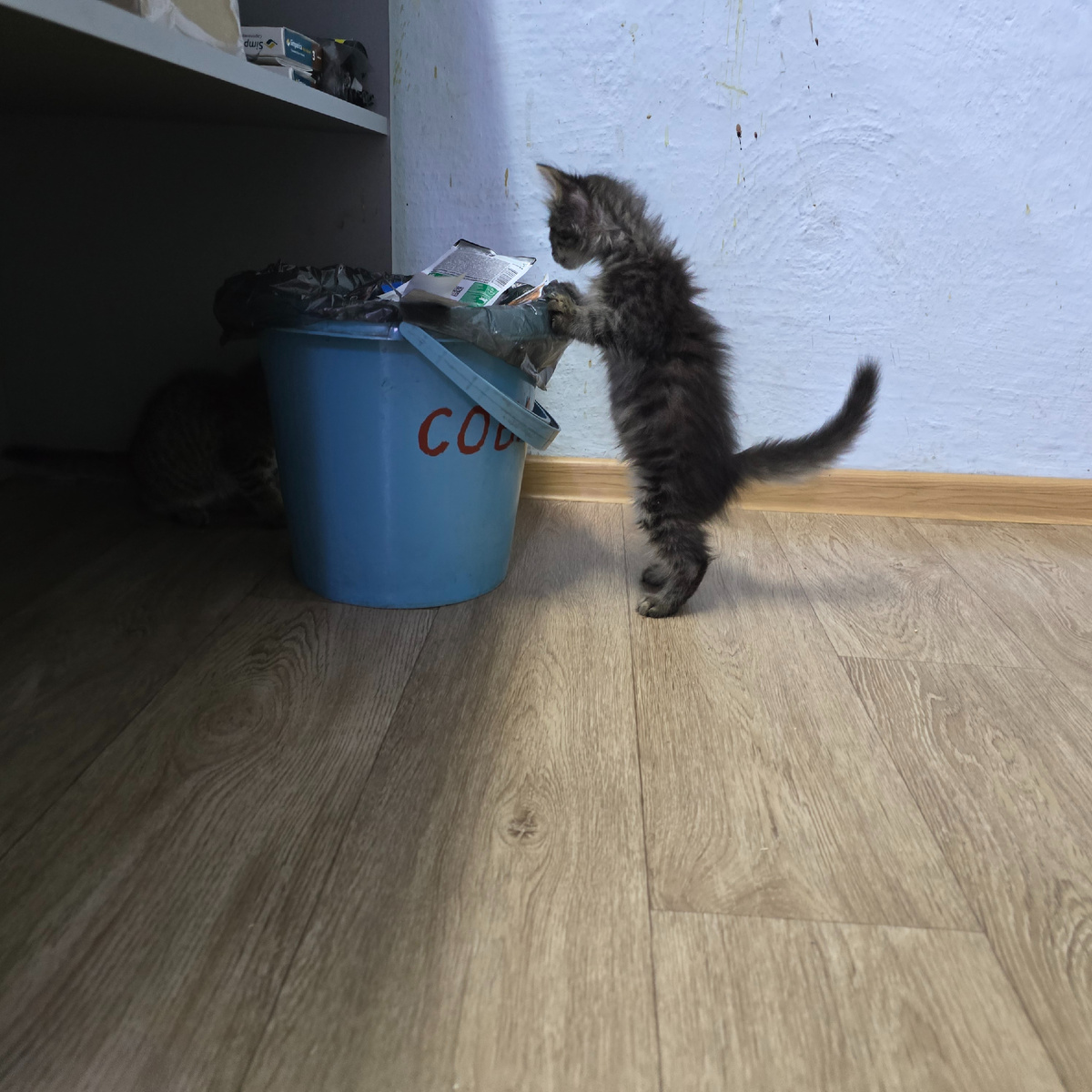 маленький детектив ищет улики в ведёрке