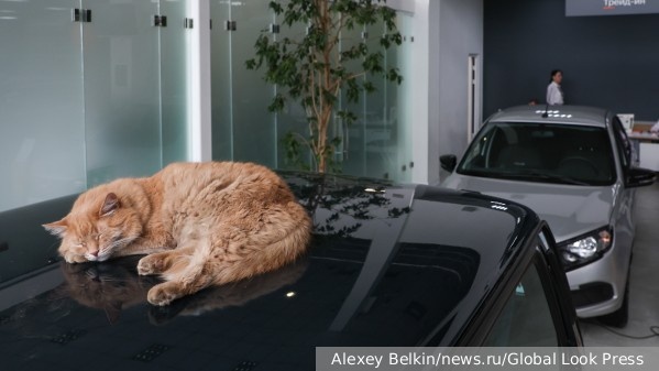     Фото: Alexey Belkin/news.ru/Global Look Press    
 Текст: Ирма Каплан