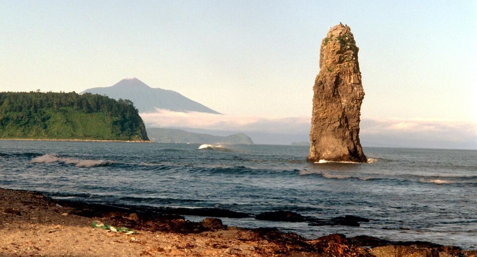    Aleksander Lyskin/Russian Look / www.globallookpress.com