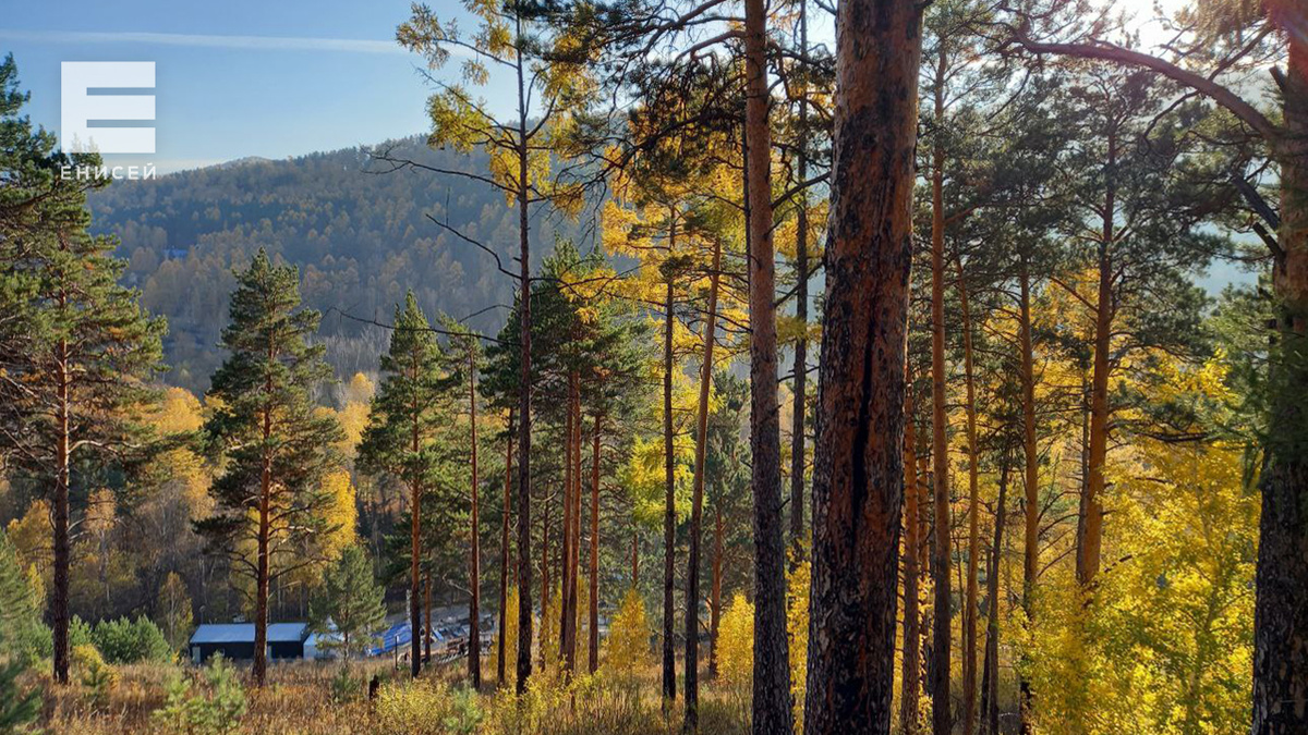     Последние выходные сентября порадуют красноярцев теплом