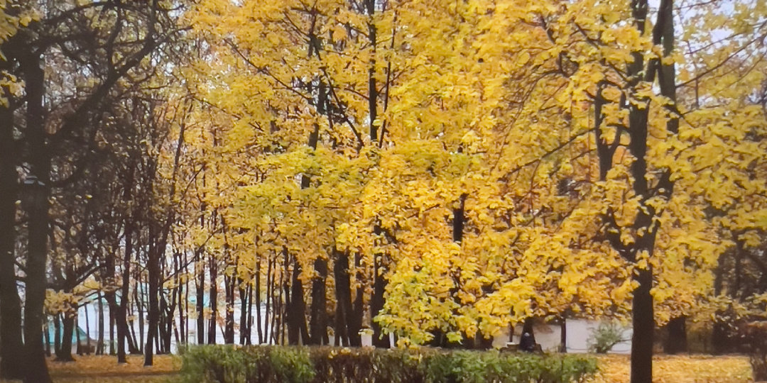 Не хочется уезжать