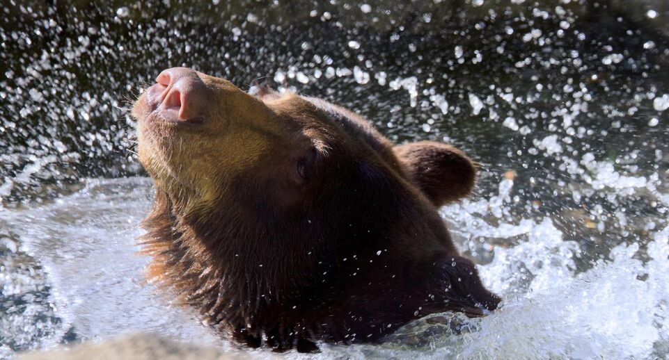    Cover Images/Keystone Press Agency / www.globallookpress.com