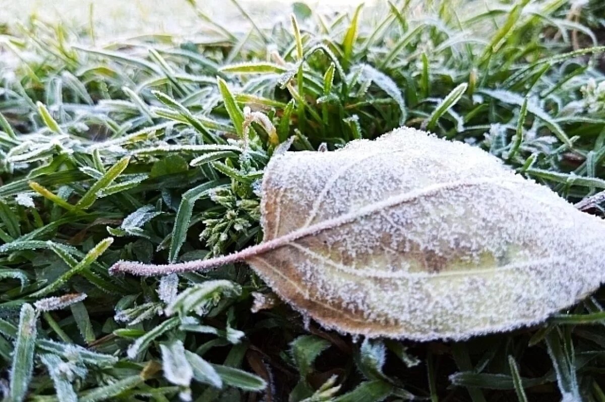    В выходные синоптики в Башкирии прогнозируют дожди и заморозки