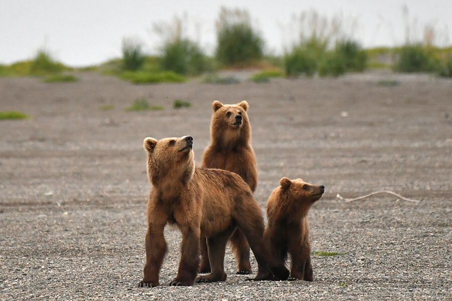     / Источник: © Юрий Смитюк/ТАСС