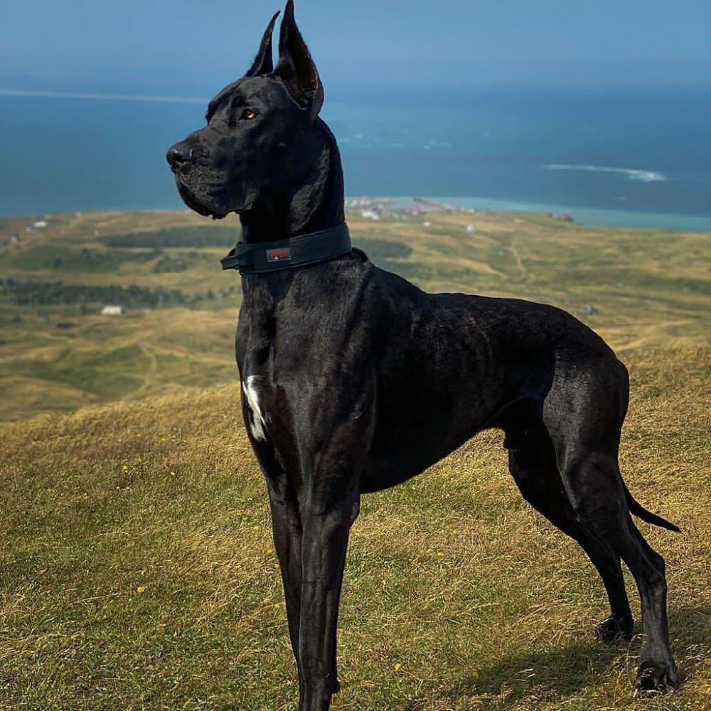 скриншот автора