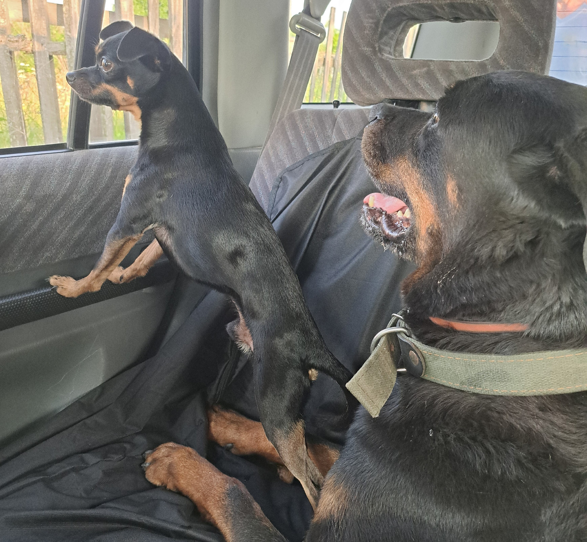 фото из личного архива