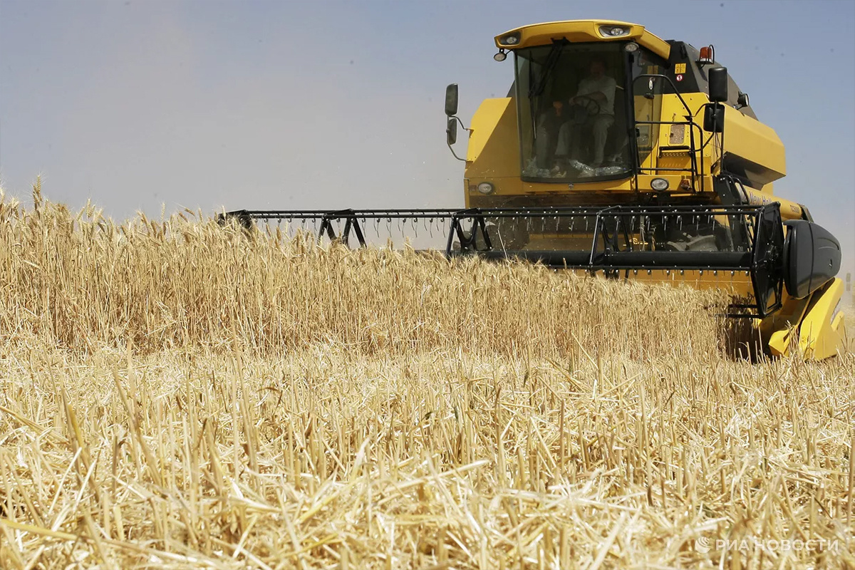    Фото: Сергей Венявский, источник: РИА Новости