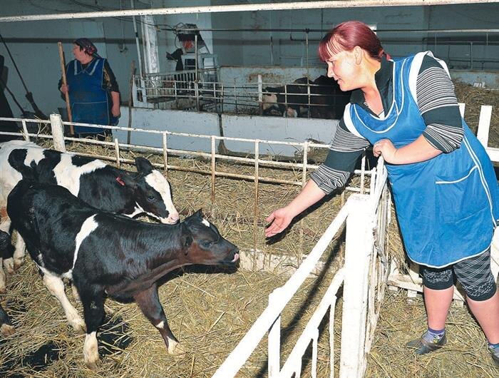    ФОТО: Котмишев Владимир