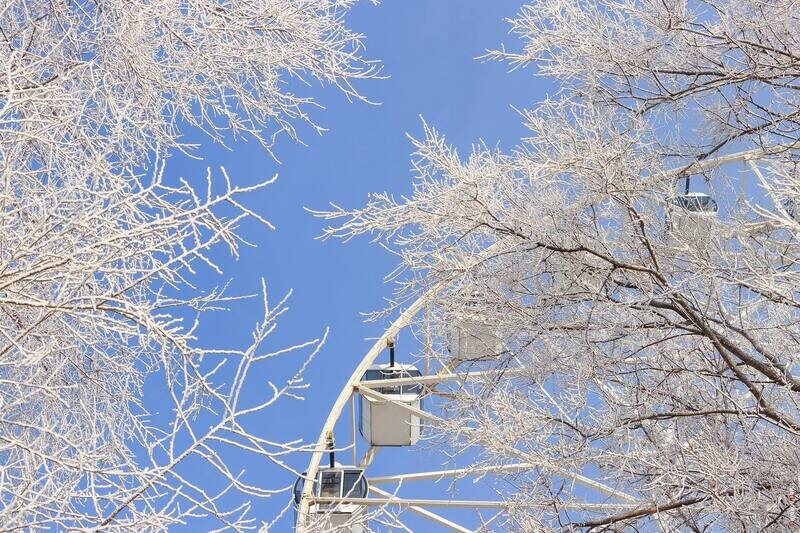    Фото Дениса Демкова admin