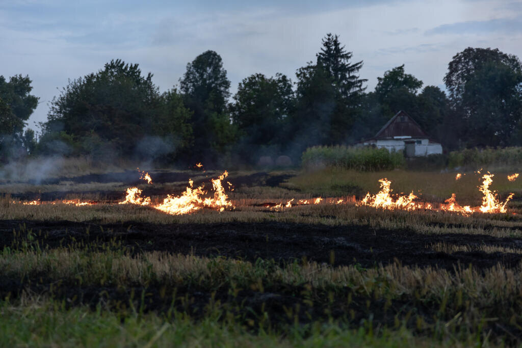    On a hot summer day, dry grass is burning on the field. Burning field with dry grass. Журналист