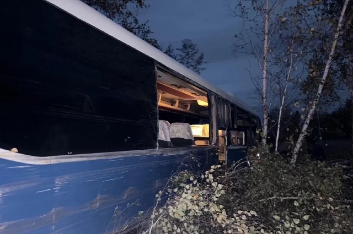    Автобус с 37 пассажирами врезался в дерево на трассе под Троицком