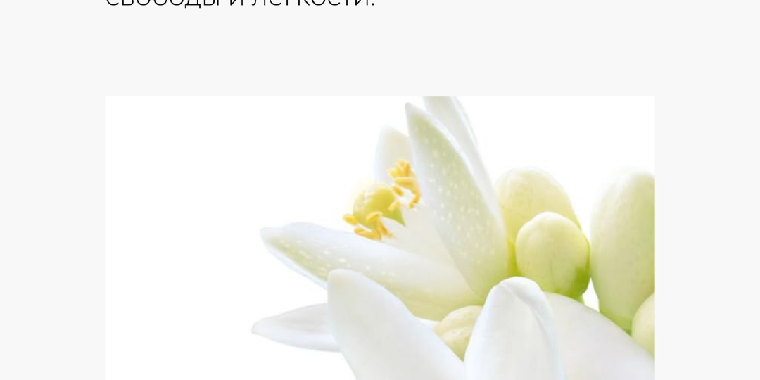 Парфюмерные тренды сезона: какие ноты актуальны сейчас?