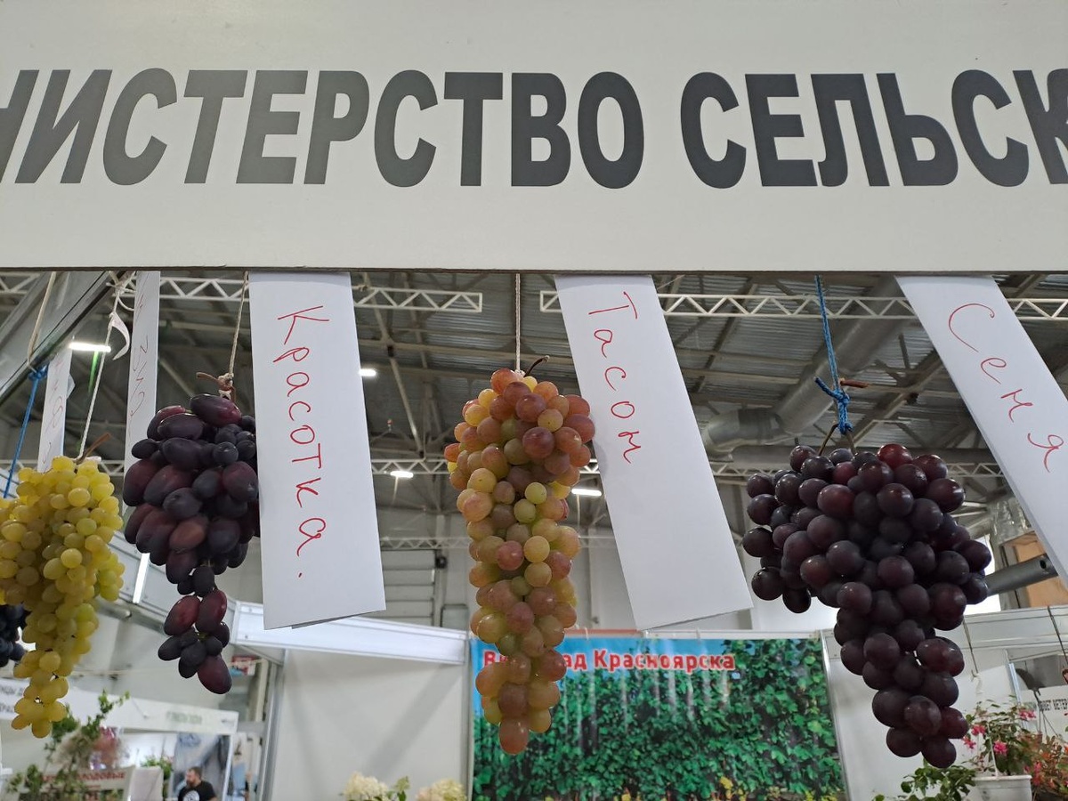    Фото: sibnovosti.ru