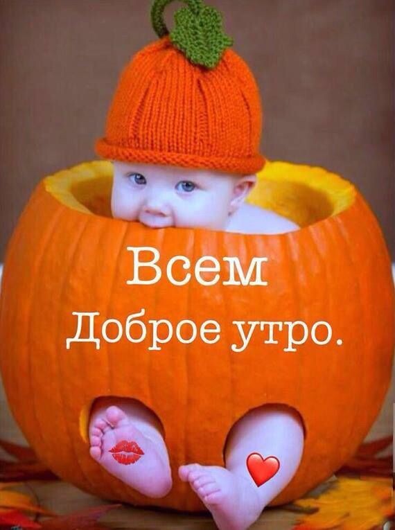 Фото интернета