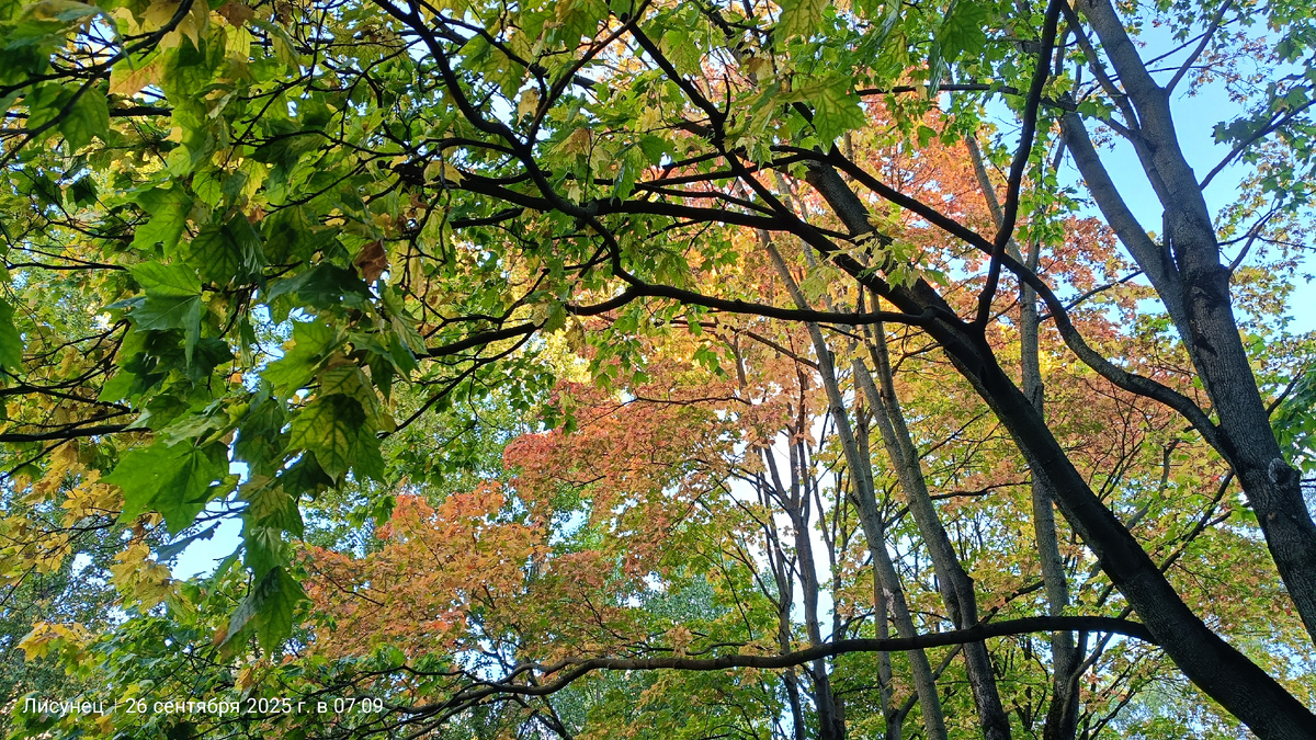 Фото автора вО дворе.