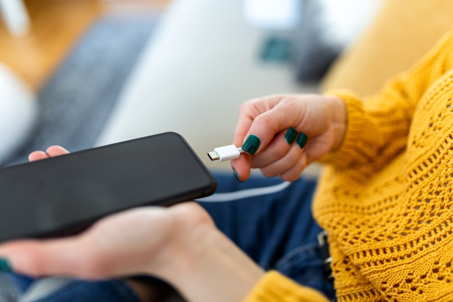    Shutterstock/FOTODOM