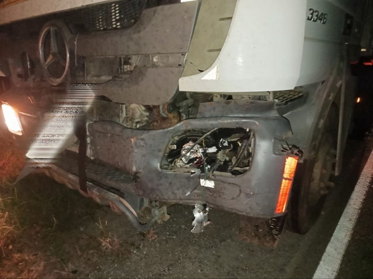    Фото: t.me/avtoclub62