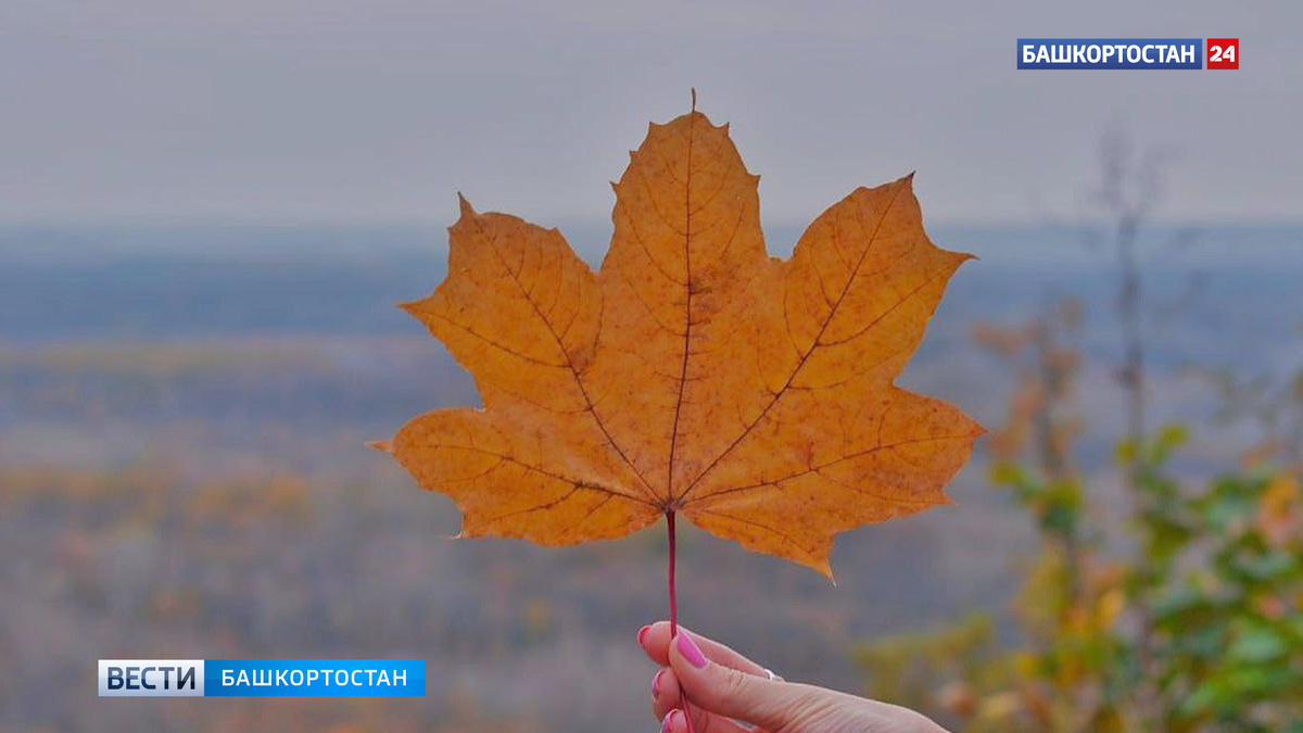    Синоптики Башкортостана дали прогноз на предстоящие выходные