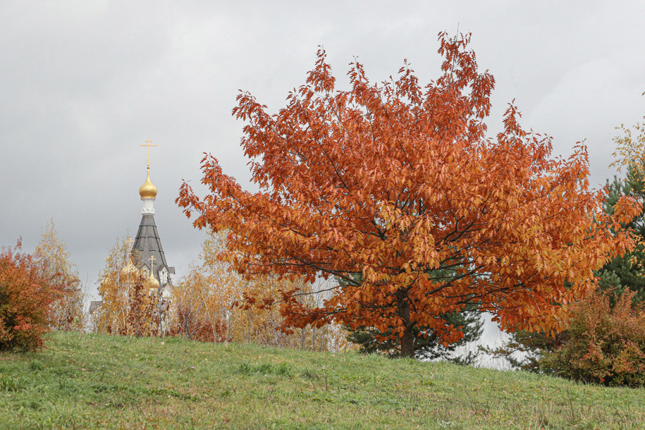    Сергей Булкин/NEWS.ru