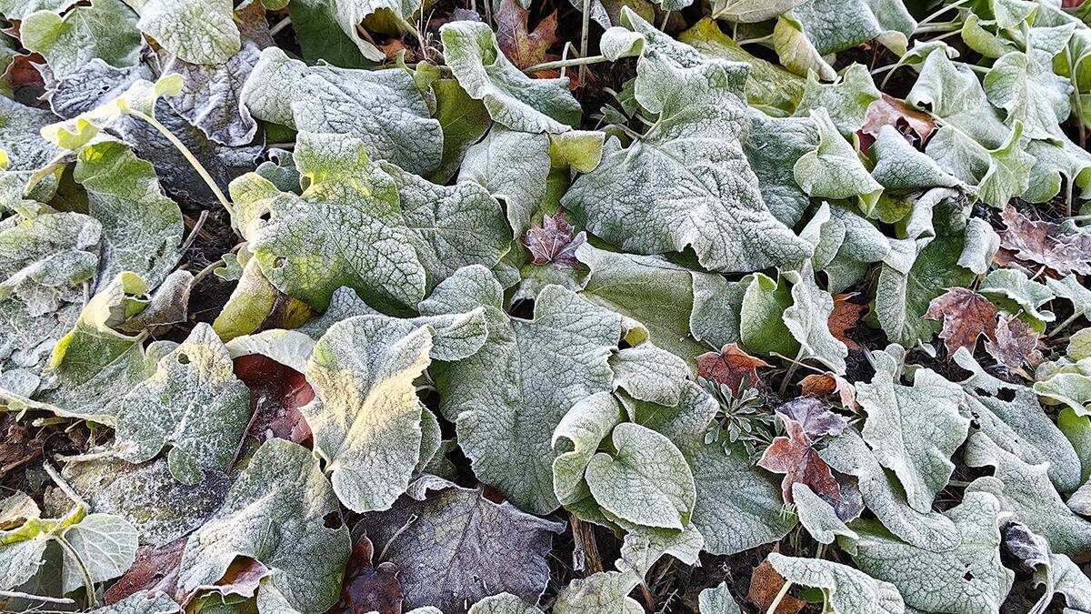    Фото: Василий Кузьмиченок / АГН Москва