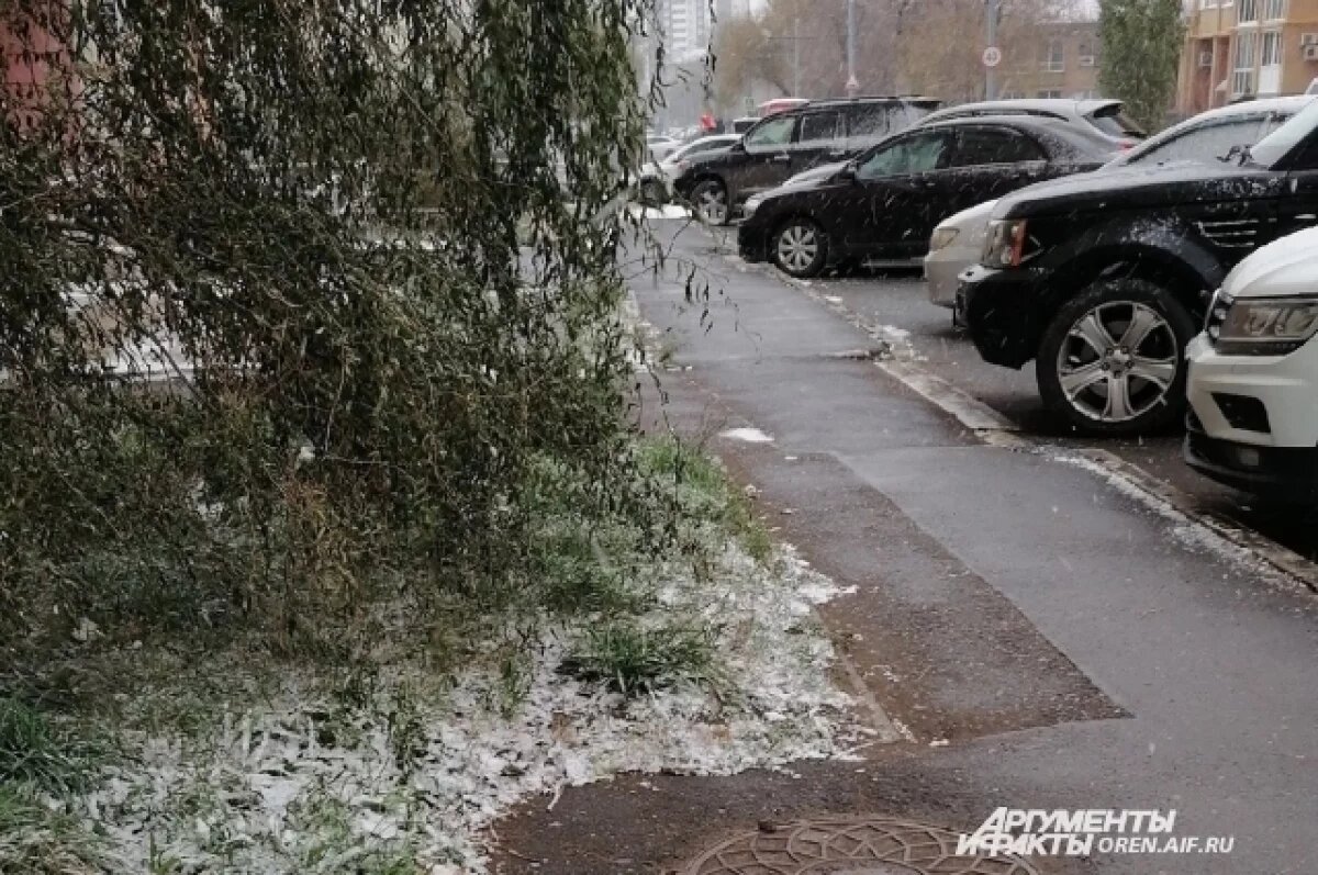    В Новосибирской области прогнозируют первый снег и заморозки