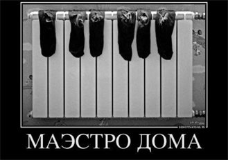 Яндекс-картинка