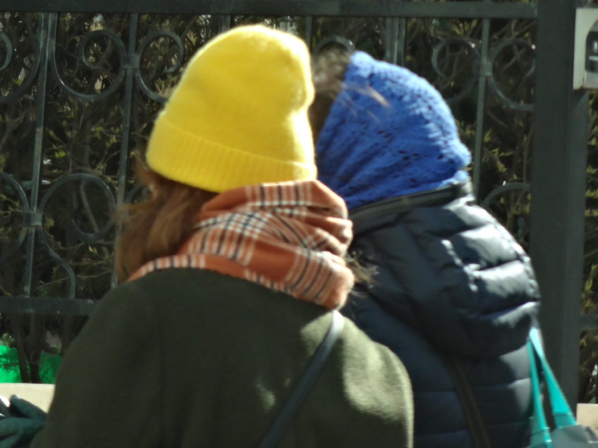 Валюша, Раечка и Реновация. Правдивая история двух московских бабушек, которые дружили-дружили 50 лет, да перестали