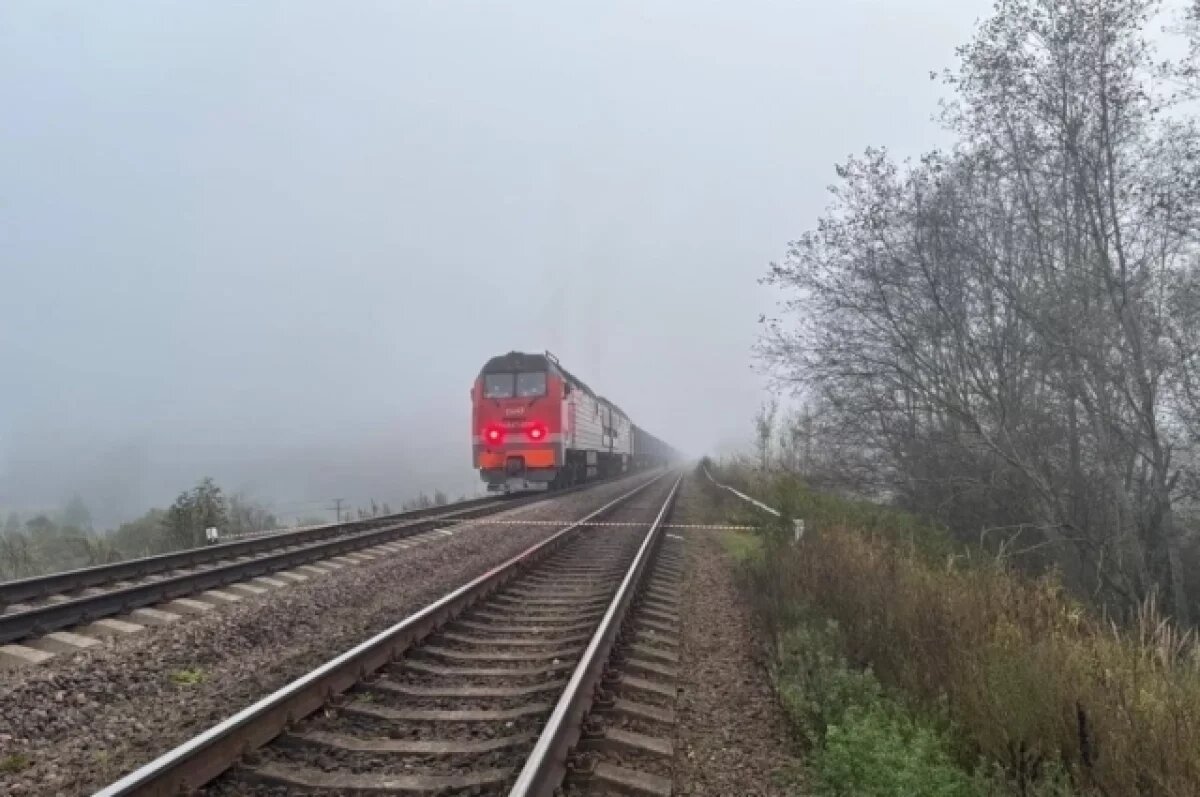    На железной дороге в Псковской области произошел взрыв