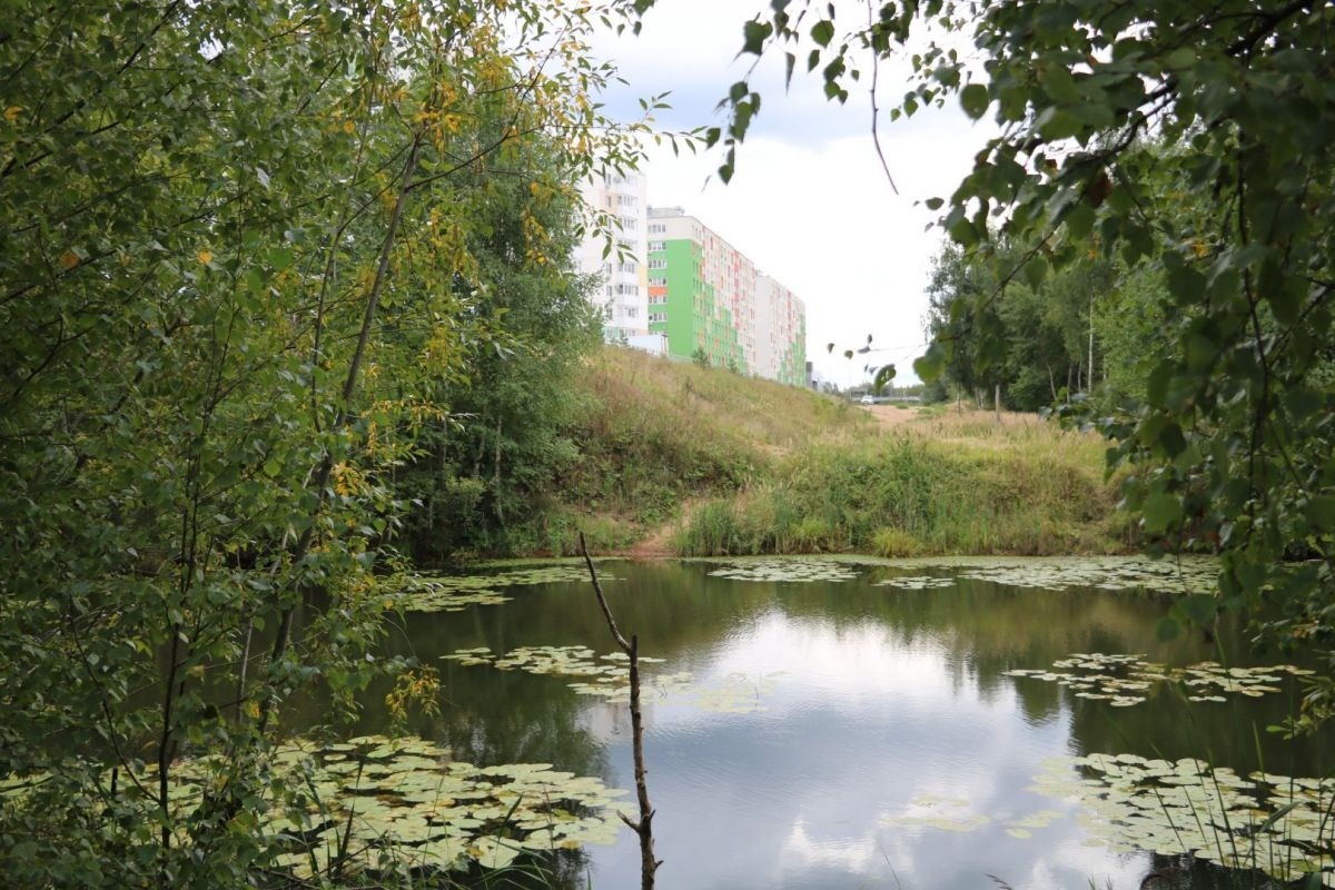 Фото: Валерия Ложкина