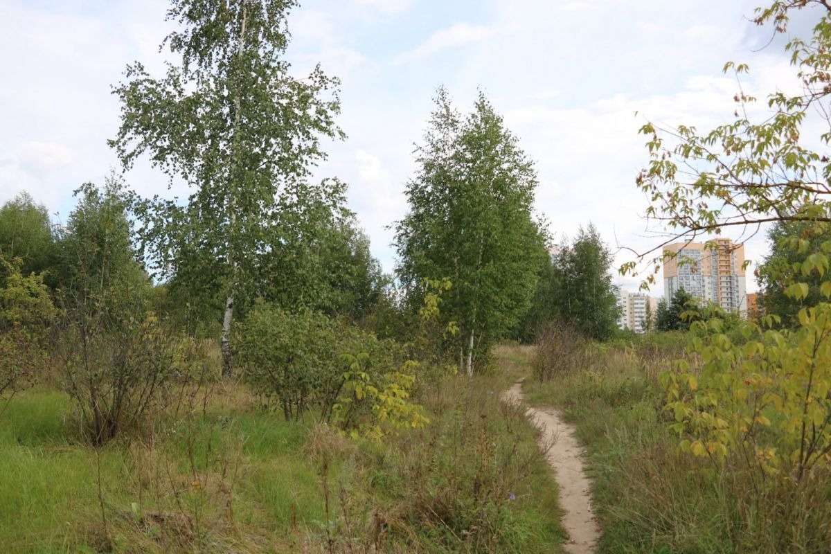 Фото: Валерия Ложкина