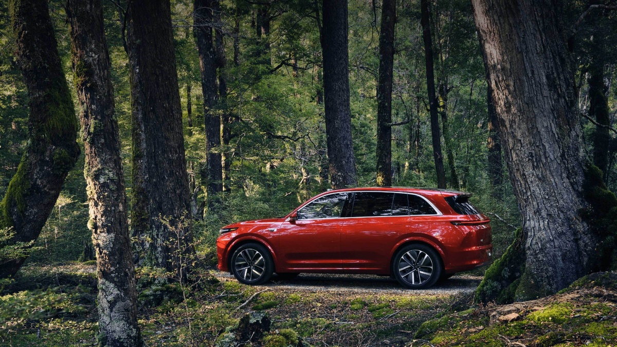 Фото Li Auto  📷
