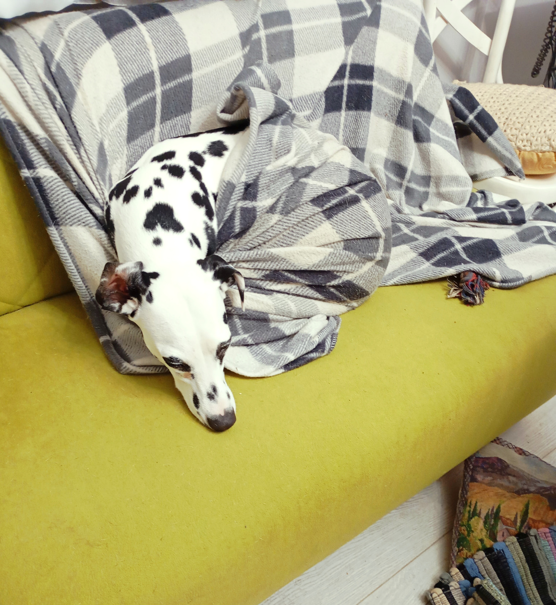 Герда скинула всё с диванчика