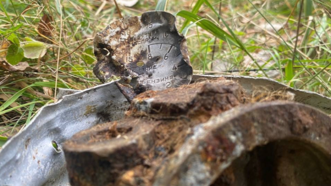 Фото: Поисковики Санкт-Петербурга