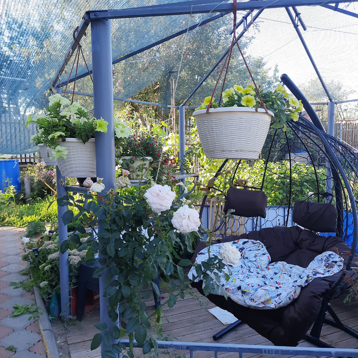 И как видите это уже получается! Роза Сабина, в первый год посадки выросла на 2/3 высоты, а там еще есть крыша))), правда как зимовать будем , если на крышу, я еще не придумала)))