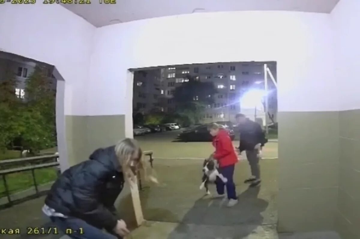    Мать пострадавшей после укуса собаки рассказала о тяжелом восстановлении