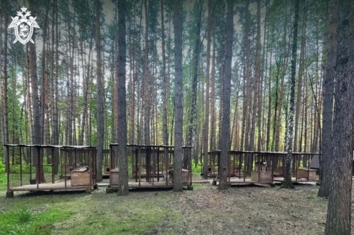    Владелец «ХаскиЛэнда» попал под суд за побег напавших на женщину собак