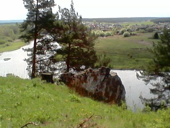 Главной наградой памяти лесника стал уцелевший от пожара лес / Фото: Vostok.Today