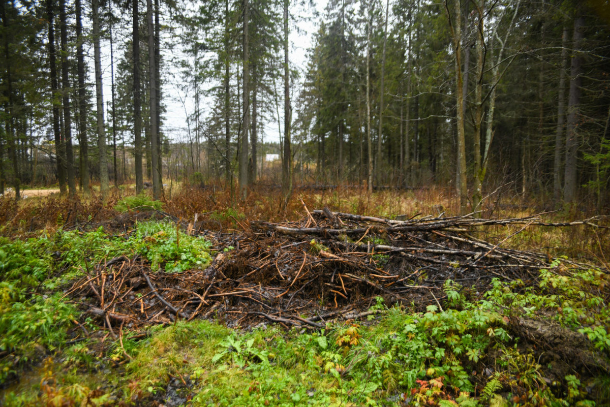   Курган. Фото: "Республика"/ Кирилл Оськин