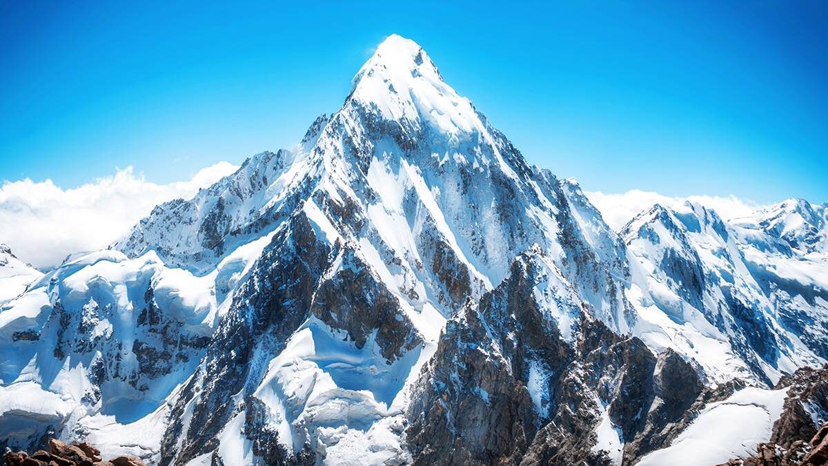    Фото: Shutterstock