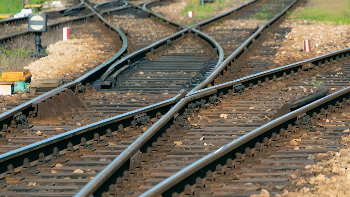    Фото: Shutterstock