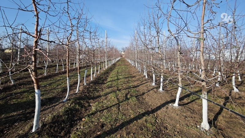      Фото: ИА «Победа26»