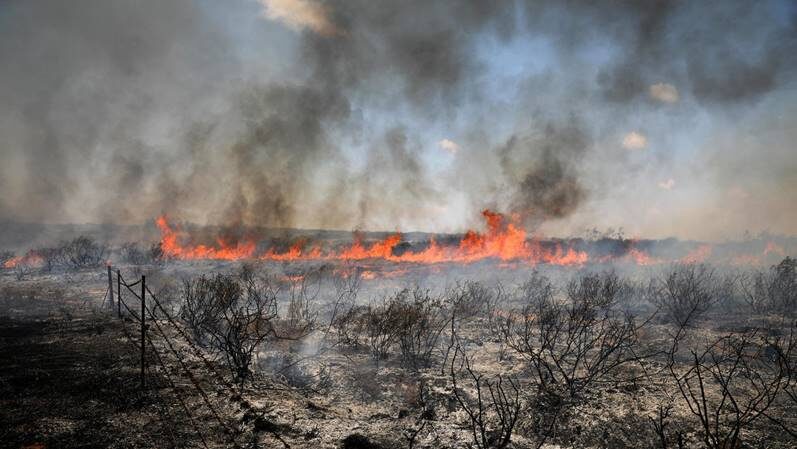 Вызженная земля. (изображение из открытых источников)