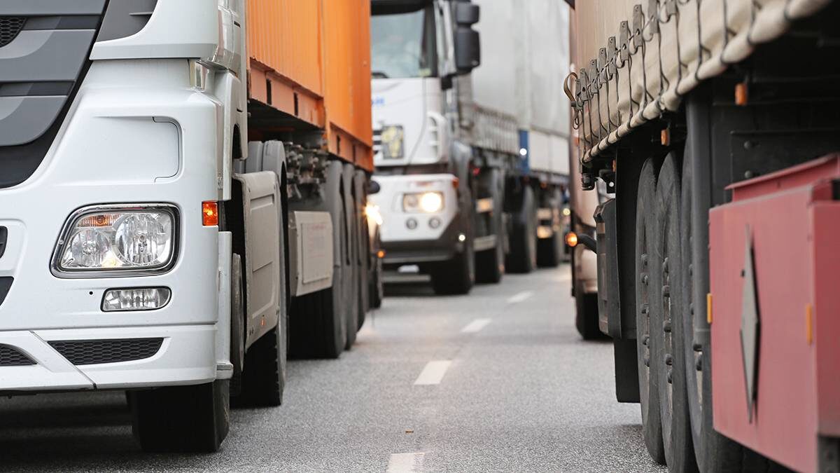    Фото: Shutterstock