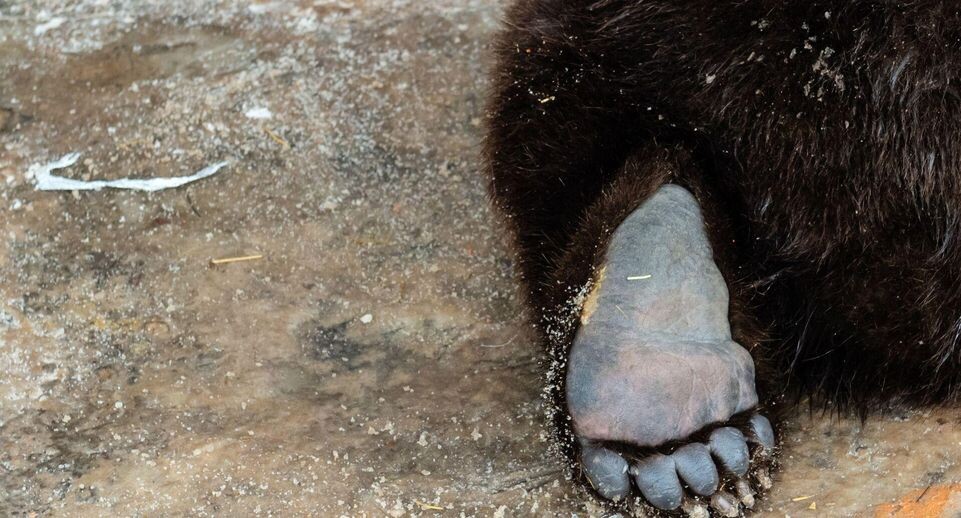    РИА «Новости»