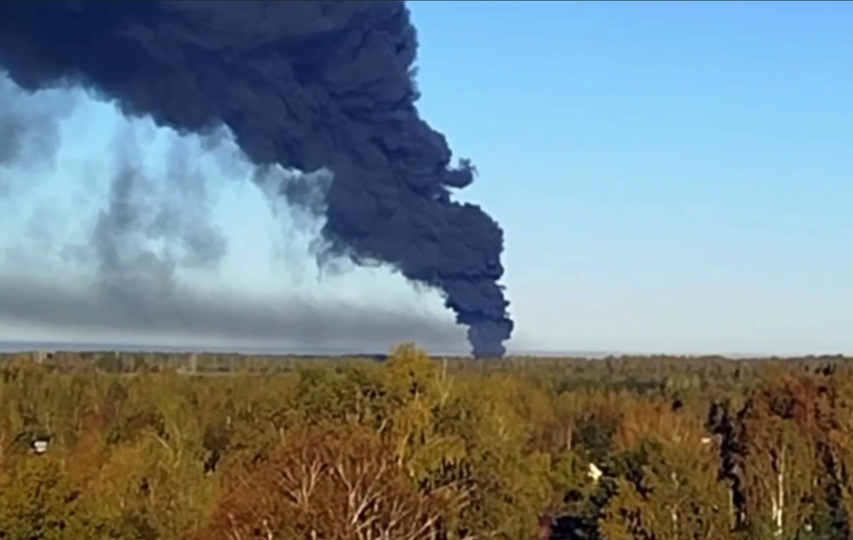     / Источник: © Соцсети. Кадр из видео