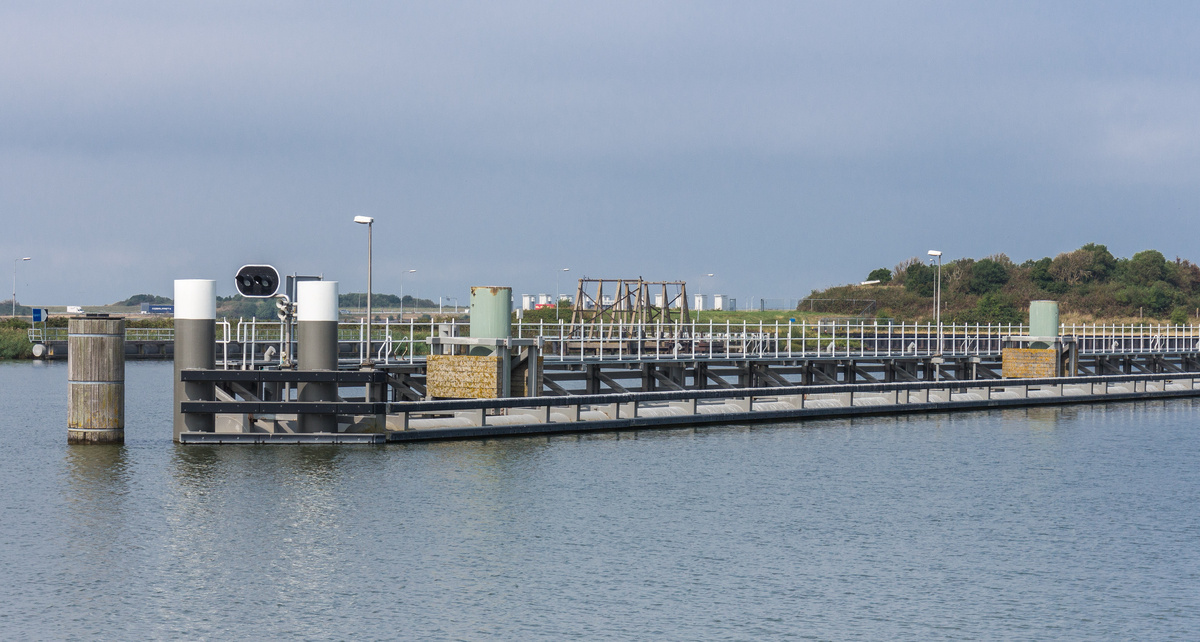 Изображение с сайта Wikimedia Commons