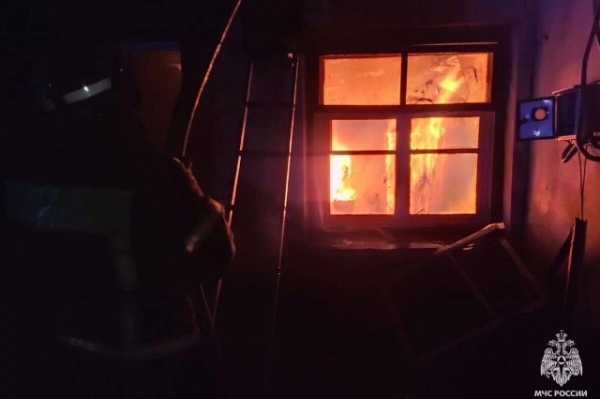    В Тульской области за сутки потушили два крупных пожара