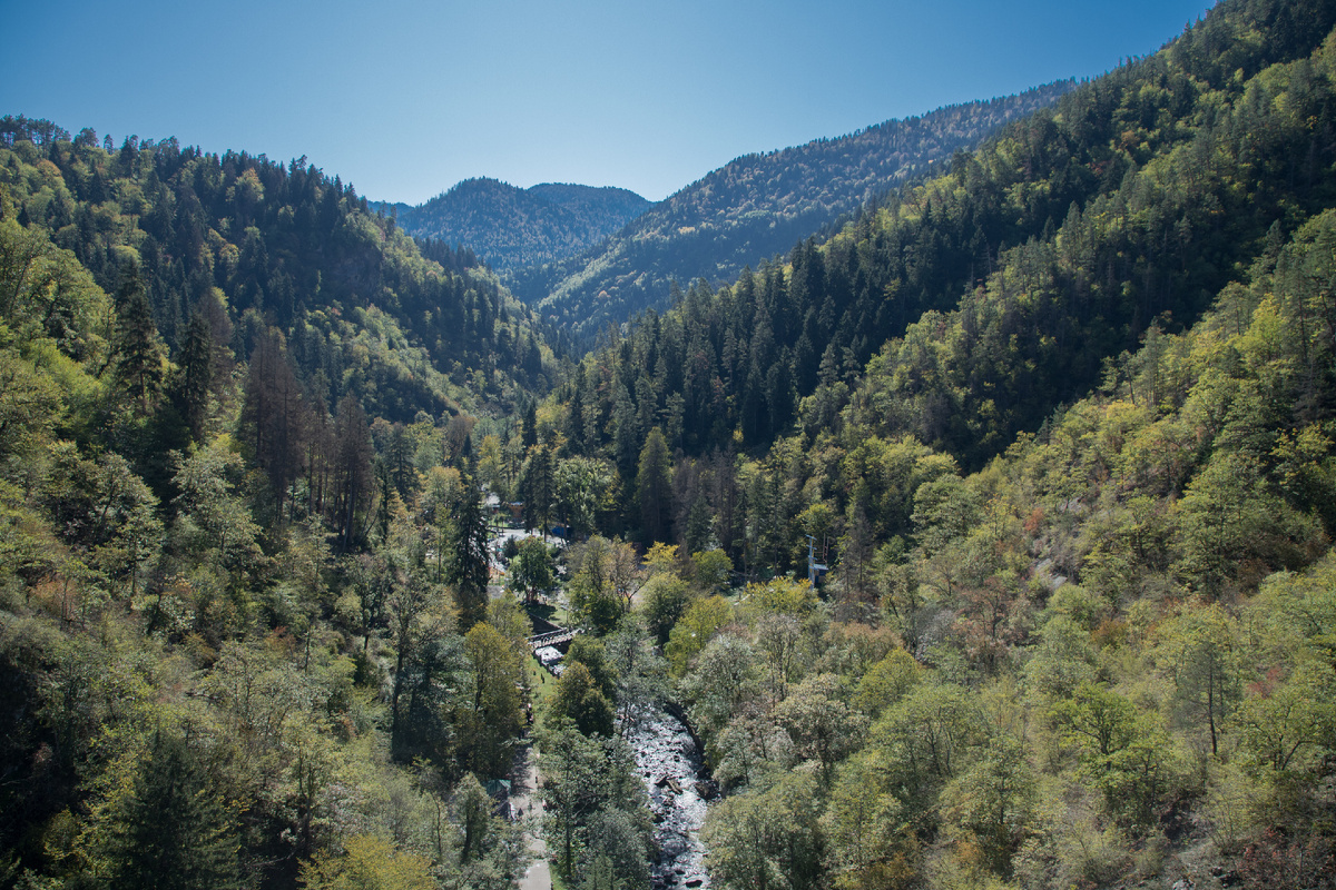 национальный парк Боржоми