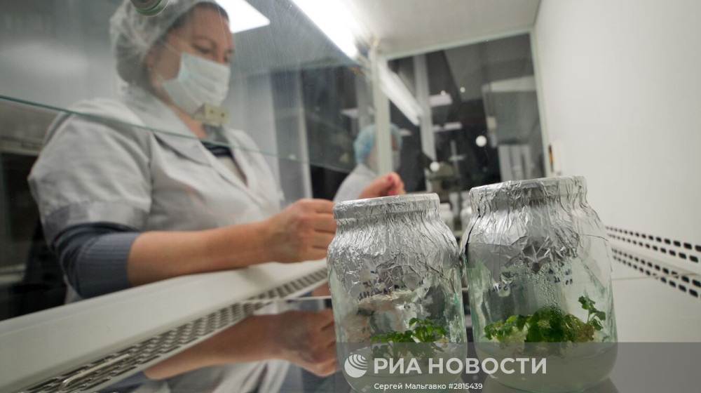    Тела без разума Китайская ферма органов, которая меняет всё