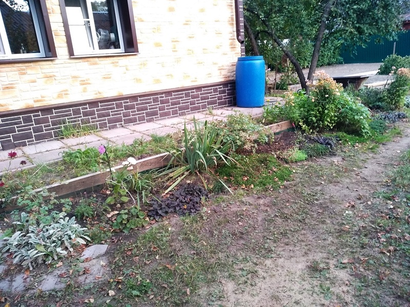 Вытянутый в длину цветник с почвопокровниками